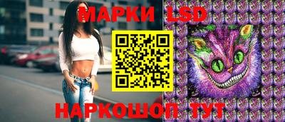 spice Новодвинск