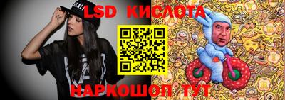 spice Новодвинск