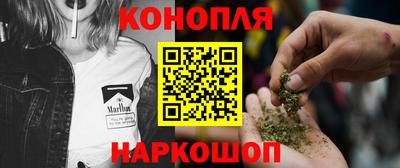 spice Новодвинск