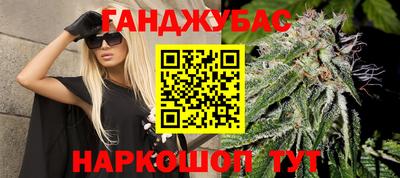 spice Новодвинск