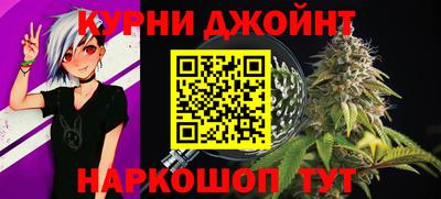 spice Новодвинск