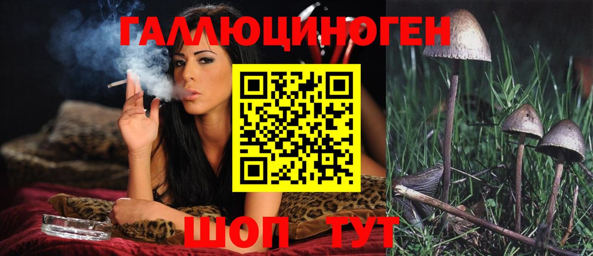 Псилоцибиновые грибы GOLDEN TEACHER Ступино